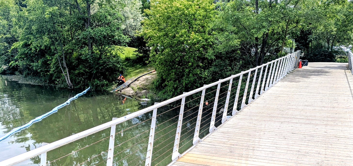 Mimico Creek – Not again!