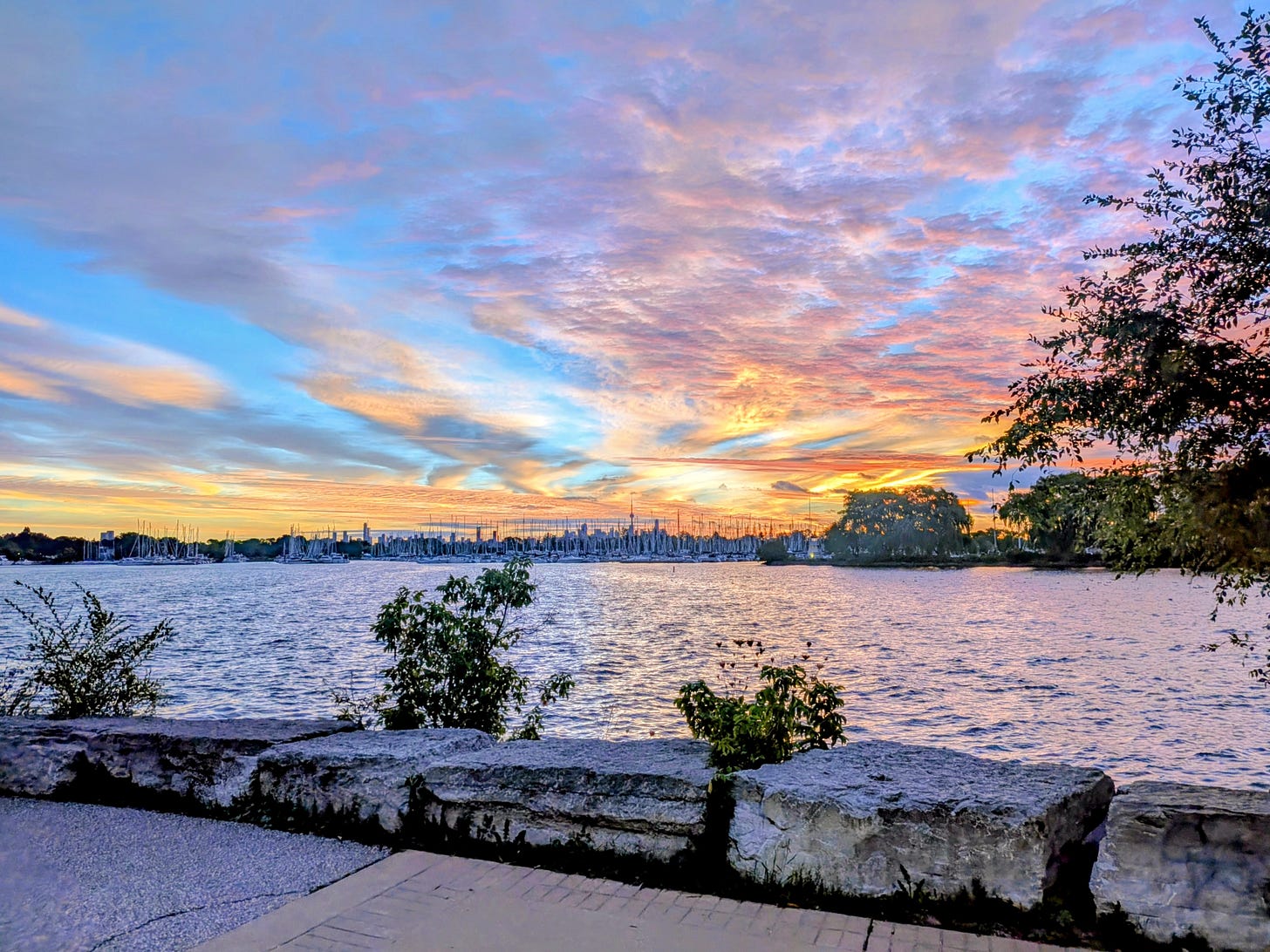 Mimico showed up yesterday